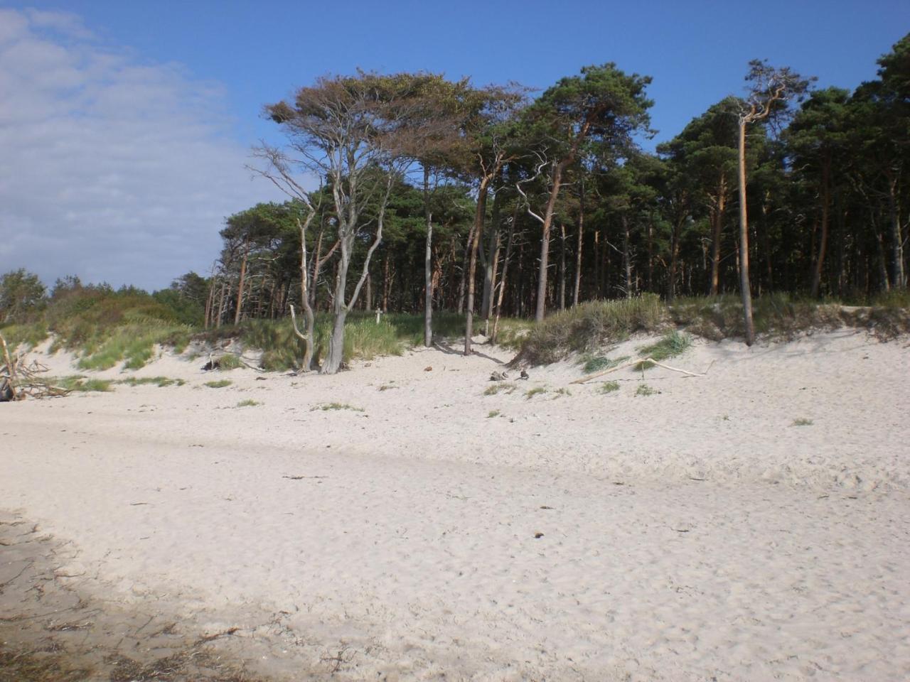Achtern - Diek - Am Strand Zingst Exterior foto