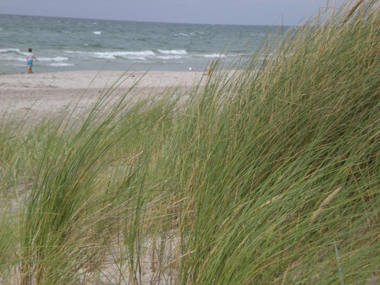 Achtern - Diek - Am Strand Zingst Exterior foto