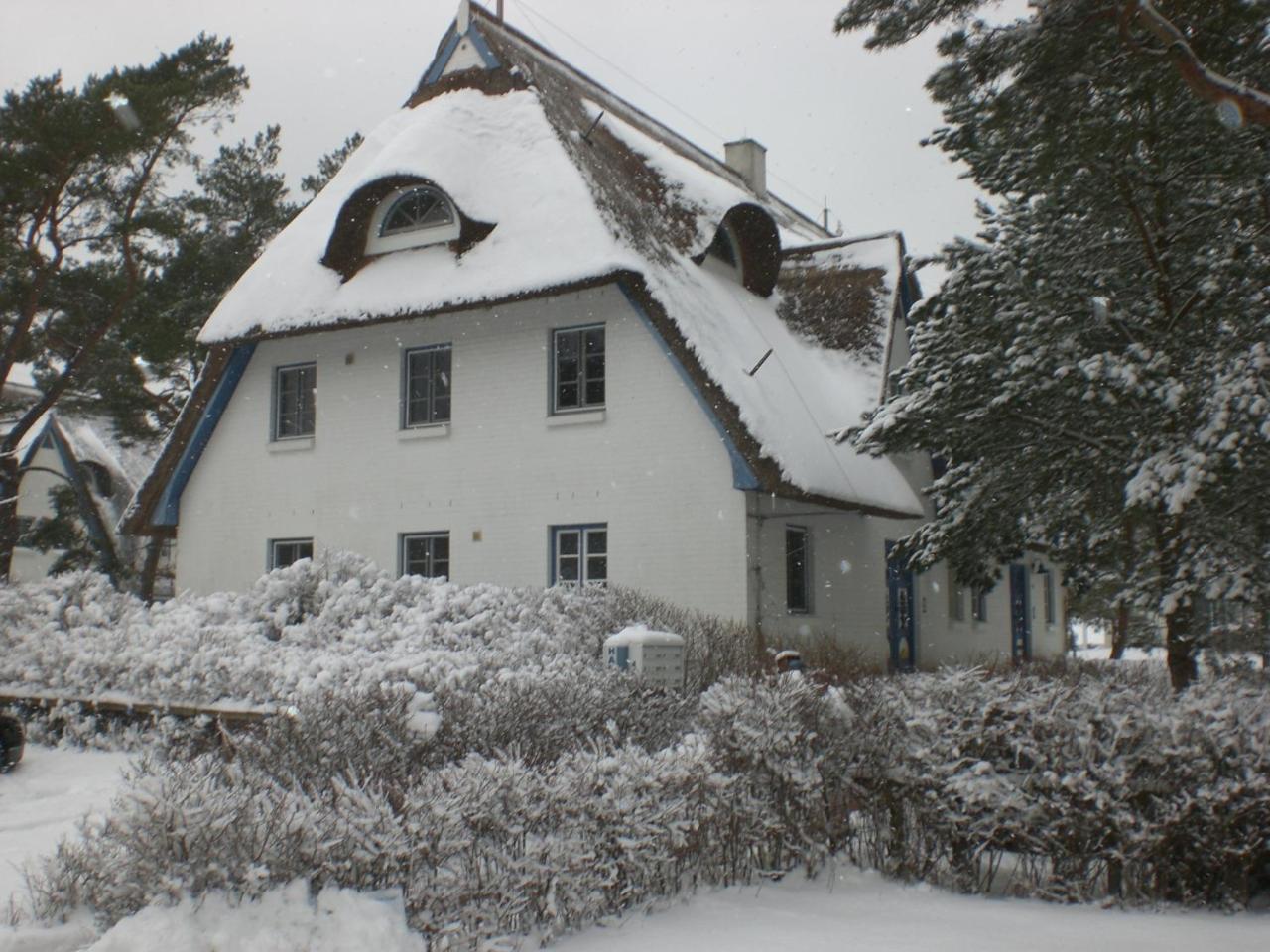 Achtern - Diek - Am Strand Zingst Exterior foto