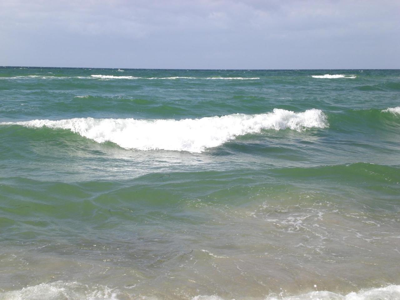Achtern - Diek - Am Strand Zingst Exterior foto