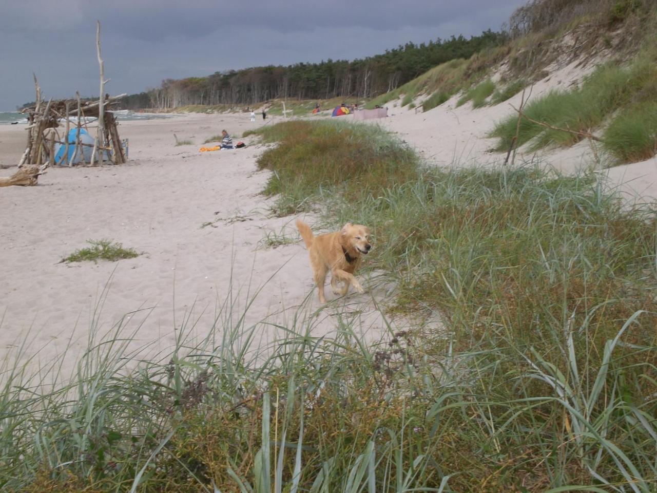 Achtern - Diek - Am Strand Zingst Exterior foto