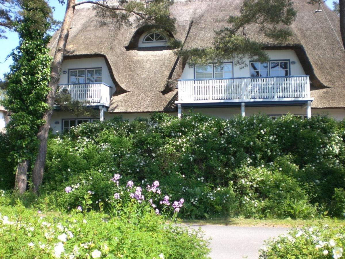 Achtern - Diek - Am Strand Zingst Exterior foto