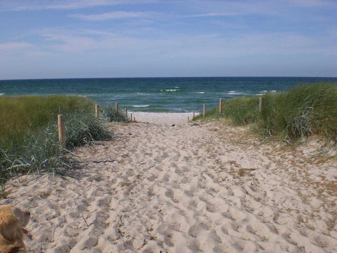 Achtern - Diek - Am Strand Zingst Exterior foto